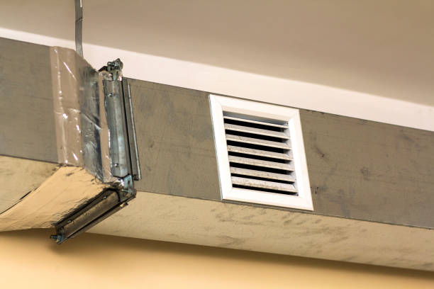 Best Air Duct Sanitizing Services  in Rutherford, TN